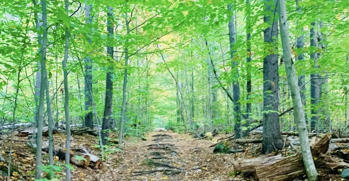 First Thursday Hike at The Fells