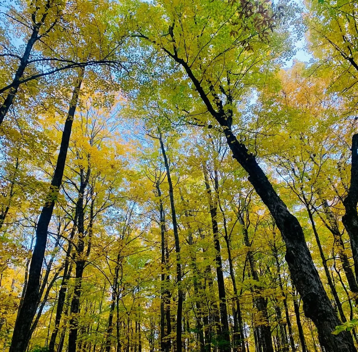 First Thursday Hike at The Fells with Dave Anderson