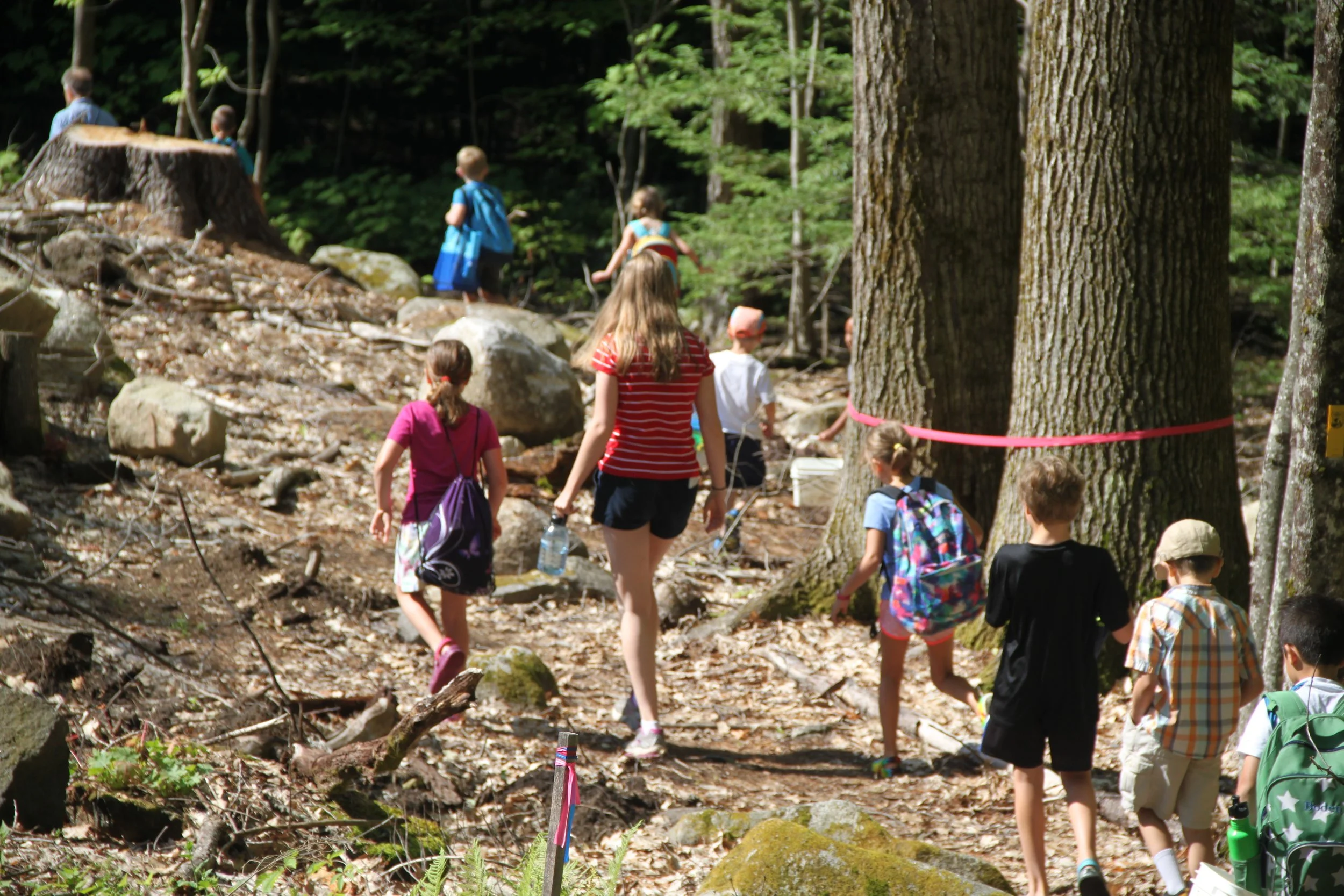 Kids Camp: Nature Explorers Co-sponsored by Lake Sunapee Protective Association ~For children ages 6-10 (FULL)