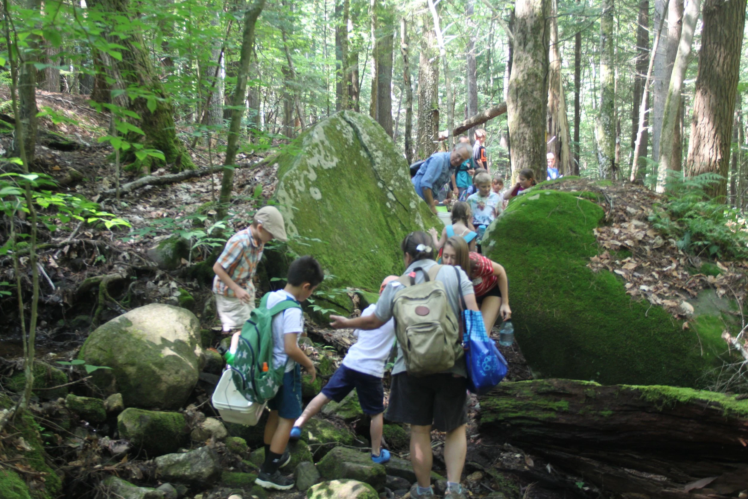 Family Story Walk  Co-sponsored by the New London Barn Playhouse