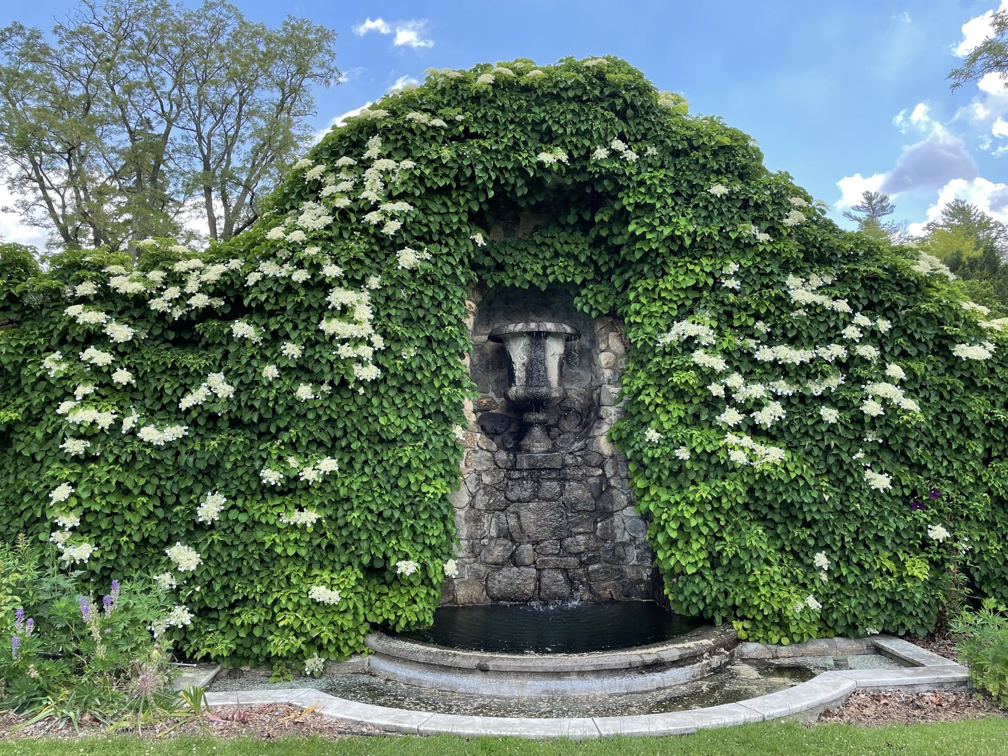 Garden Docent Training