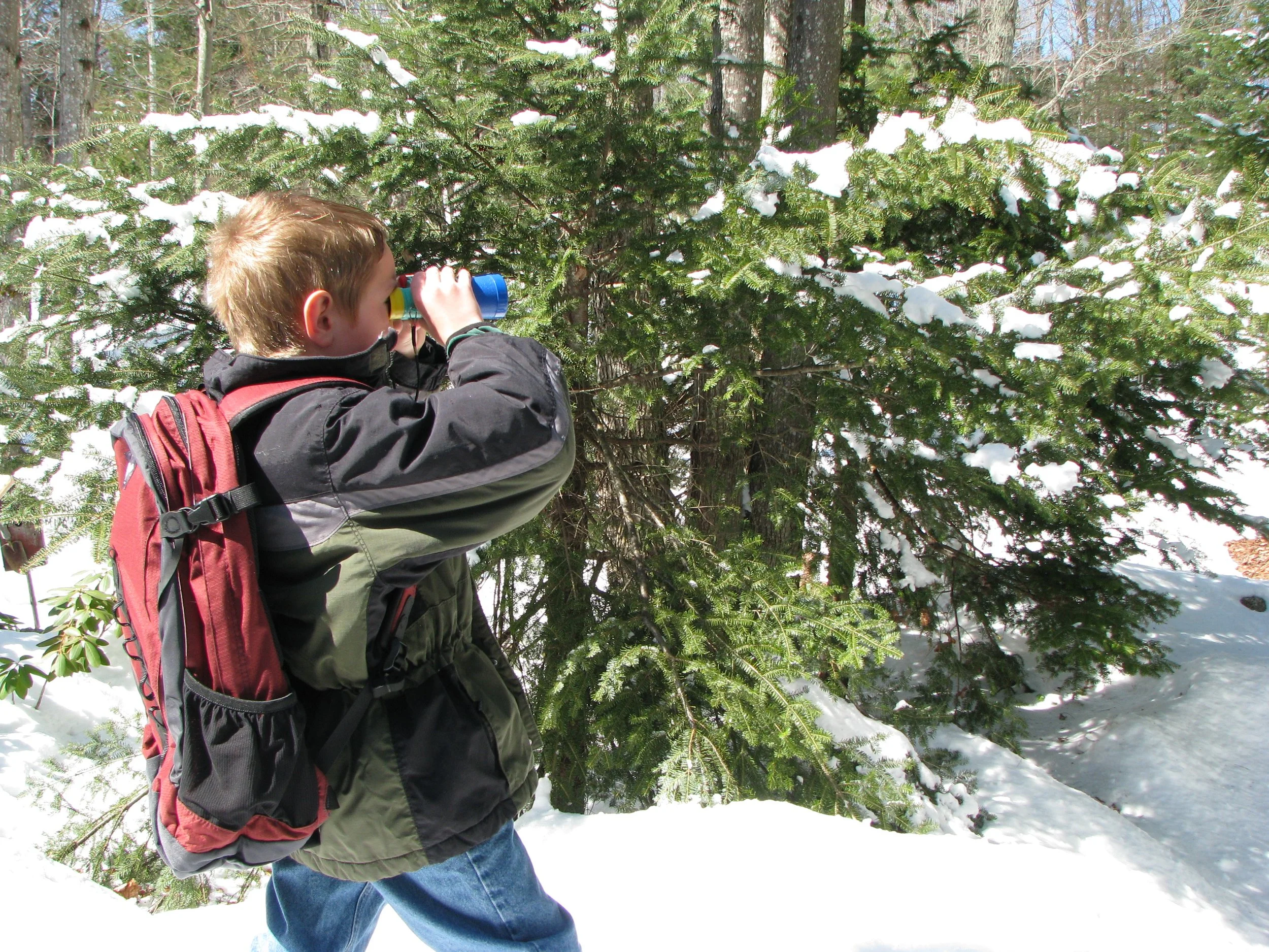 CANCELLED! Winter Woods Wander for Families Co-Sponsored by the Lake Sunapee Protective Association (LSPA)