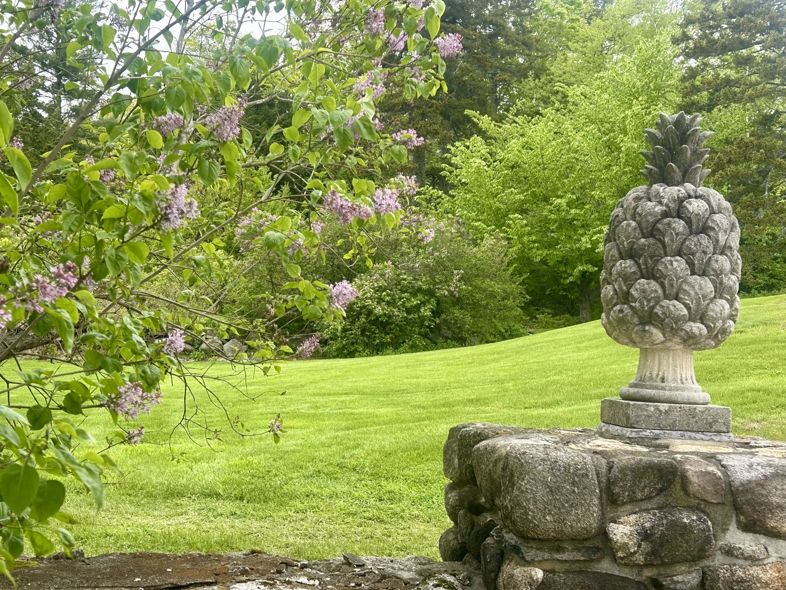 Gardening Lecture Series: Sustainable Lawncare - Practical Organic Methods for Homeowners