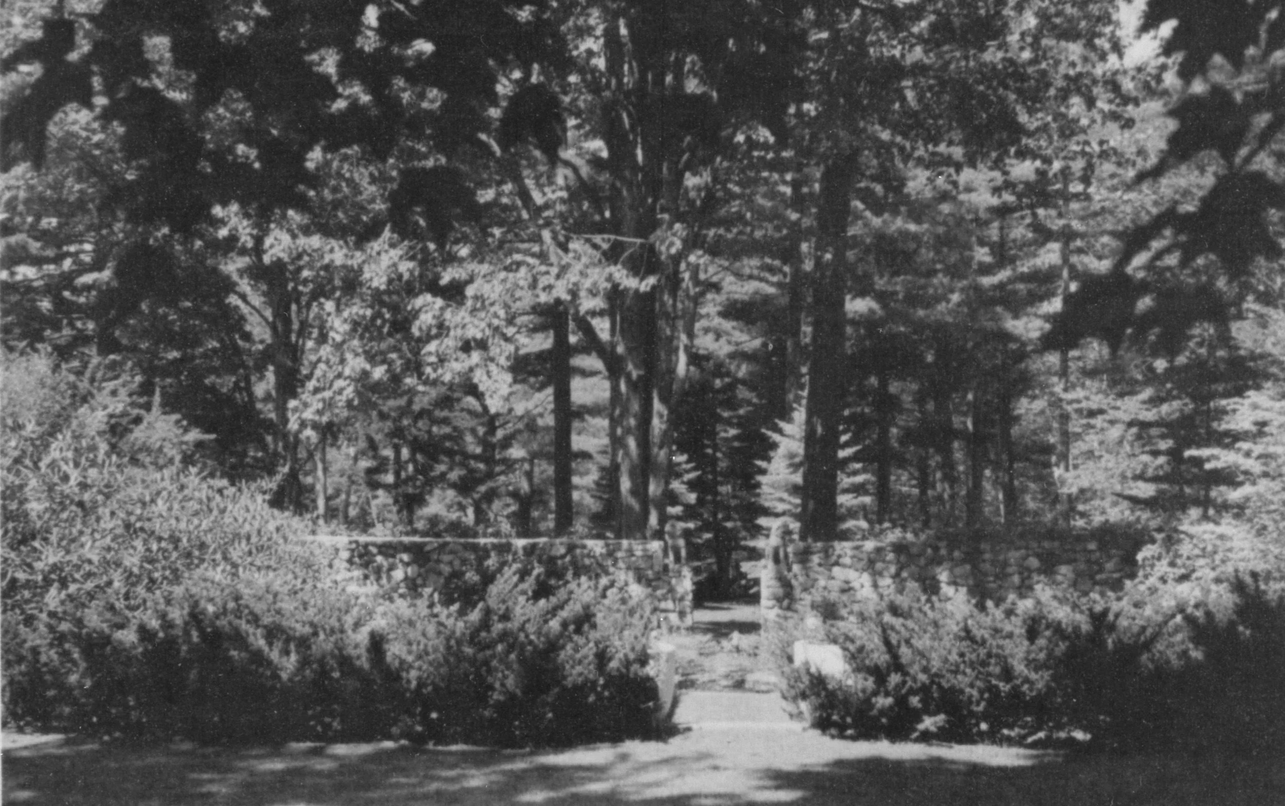 The Hay Family Landscape Legacy: Incidental Interactions of Man and Nature - A Presentation by Lucinda Brockway