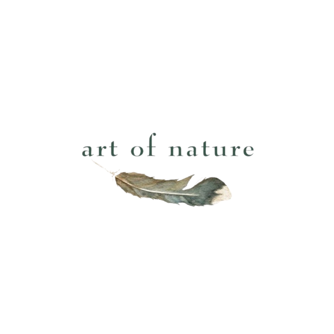 art of nature.png