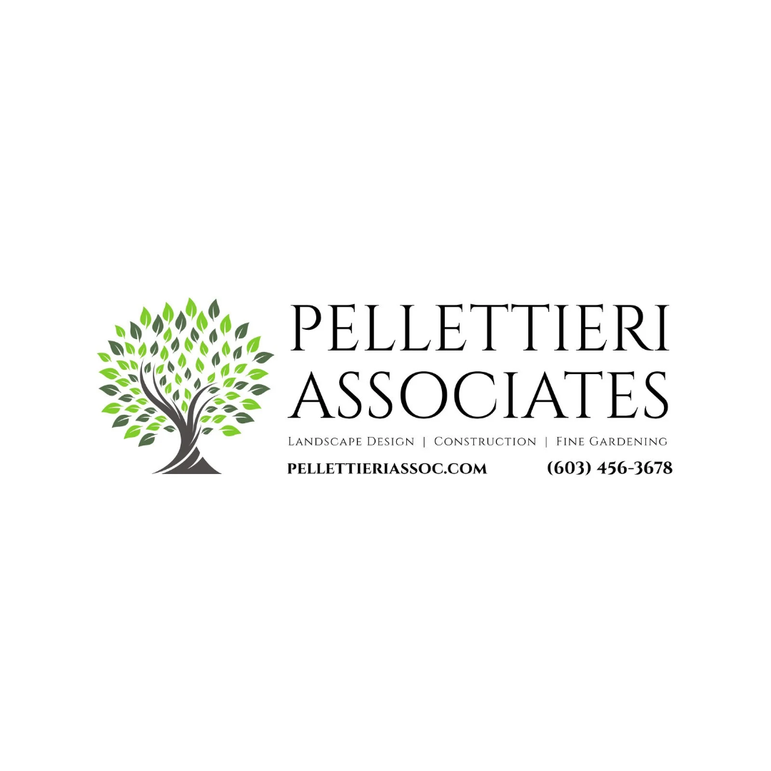Pellettieri Associates.png