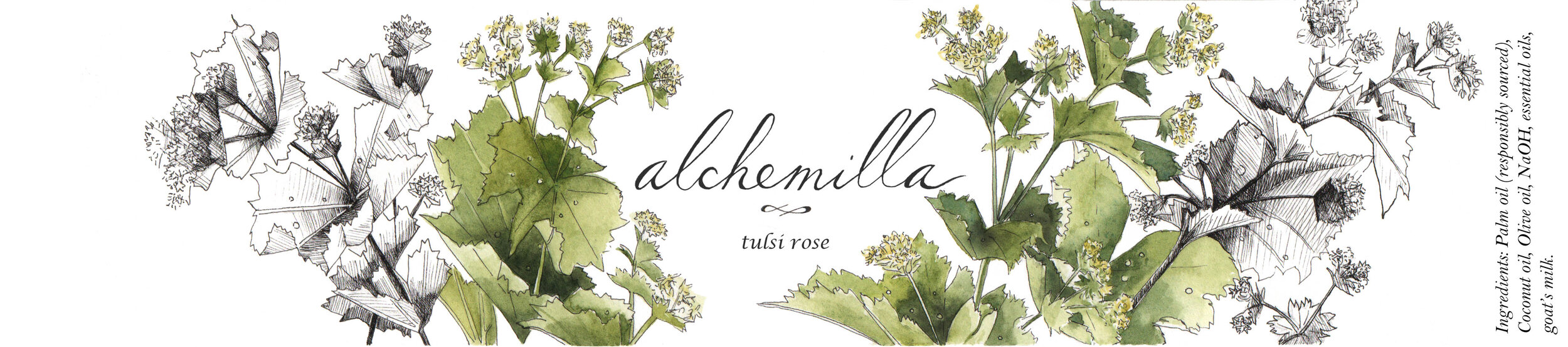 soap packaging for Alchemilla bar soaps