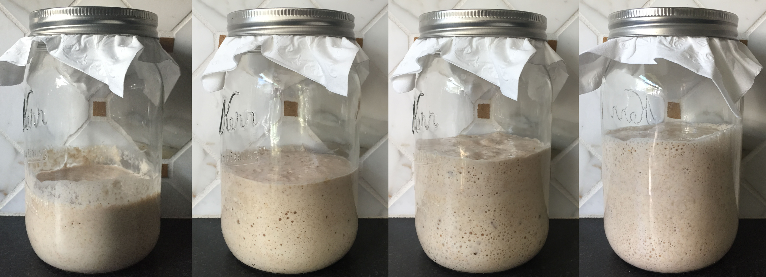 Wild Yeast Sourdough Starter Yesteryear Kitchen A New Ode To