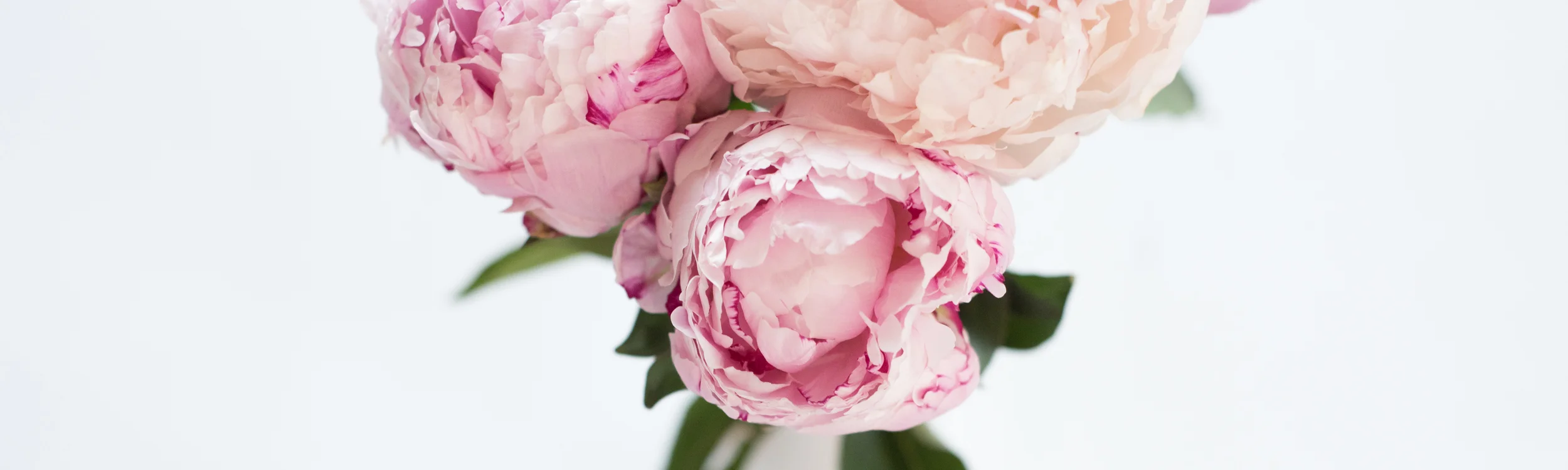 twigy's blogger bundle  - header images-4.jpg
