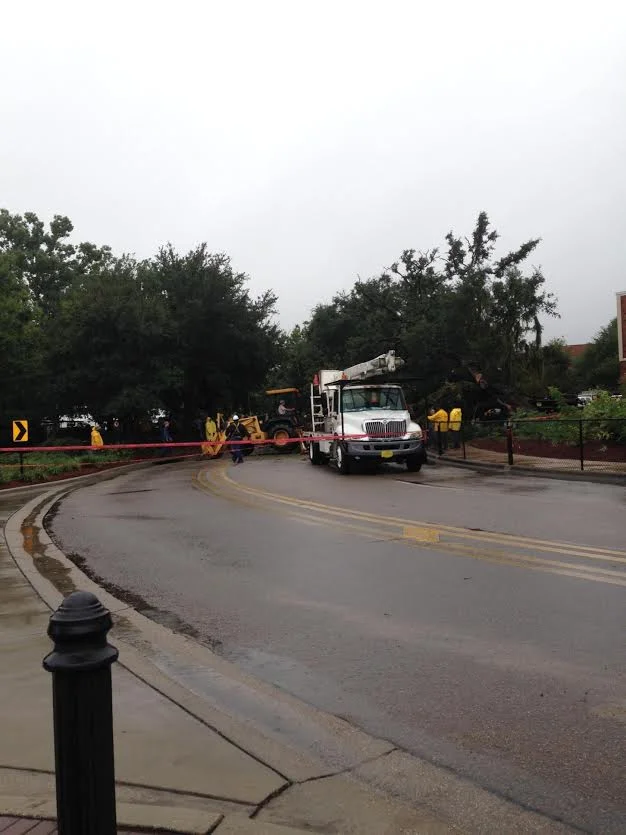 Florida State Administration Proves that Crime Isn't the Only Thing they Refuse to Take Action On