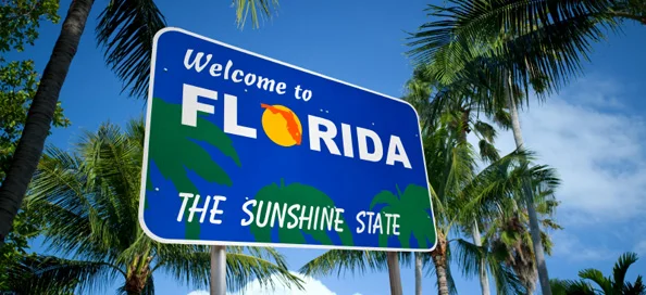Eggplant Spotlight: Lesser Known Florida Rivalries