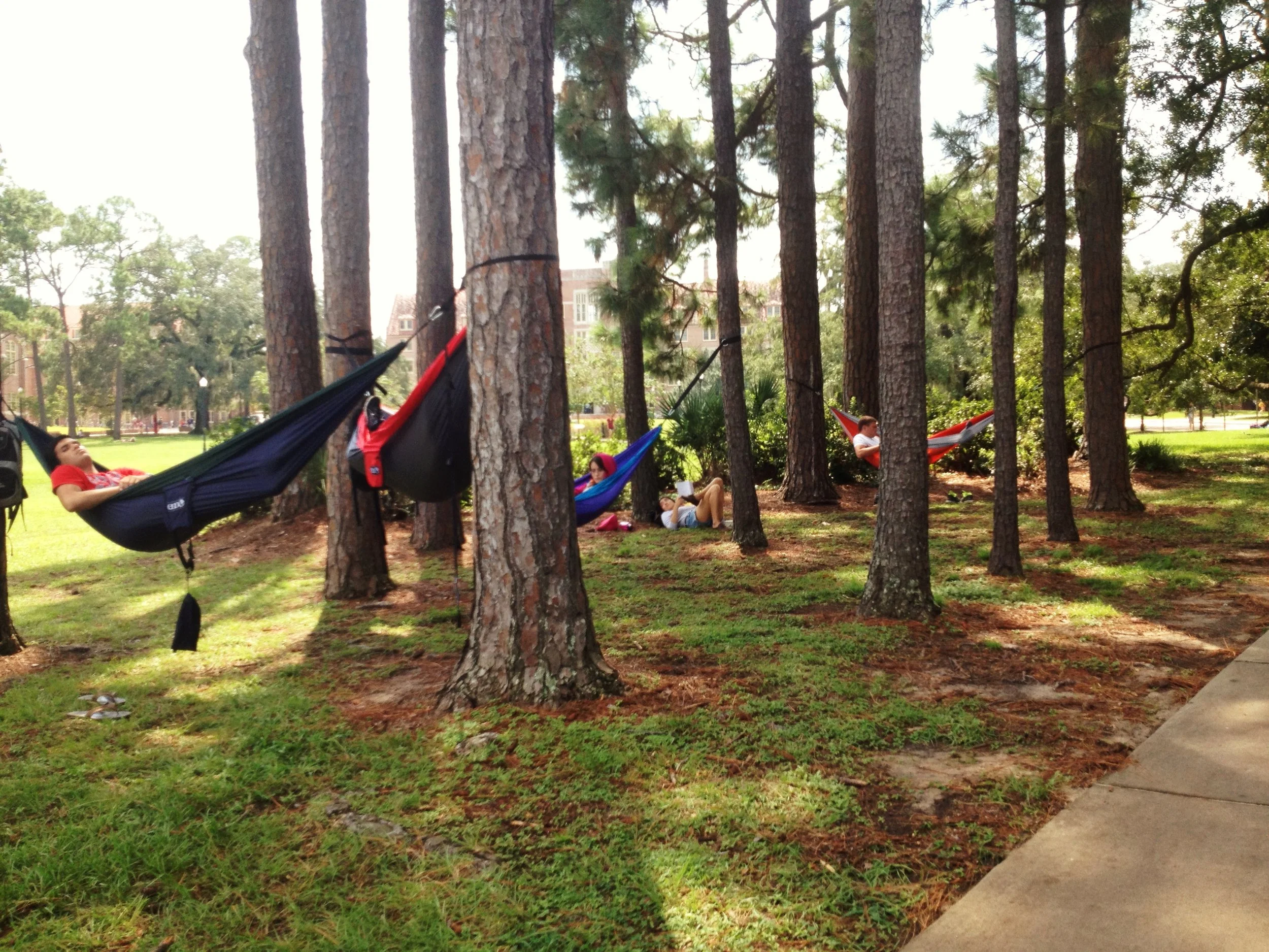 Student Decides to Just Live Full-Time in Hammock on Landis Green