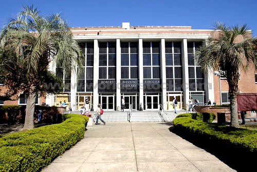 Study Finds 5th Floor of Strozier Best Place to Masturbate on Campus