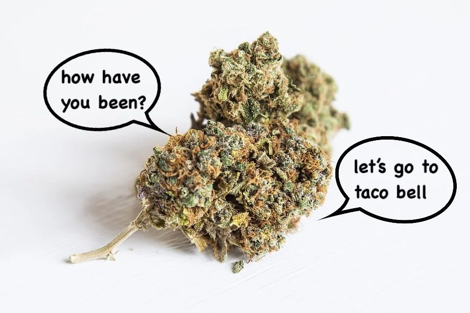 Op-Ed: The Nug I Couldn’t Smoke Over Break Now Feels More Like A Friend