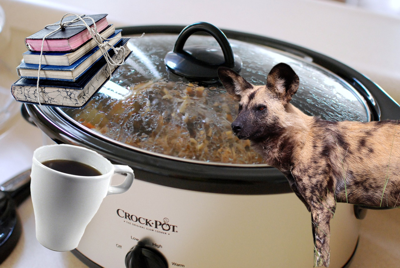 All The Things You Can Do Today While You Wait For Your Gumbo To Cook in the Crockpot