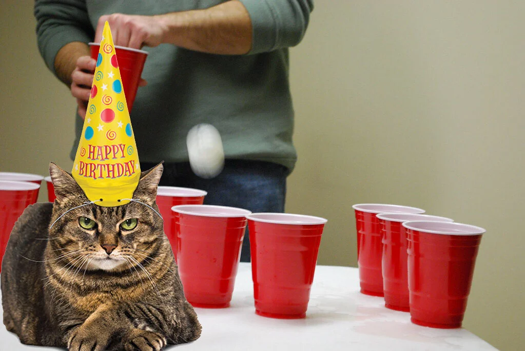 House Cat Totally Confused by Ongoing Beer Pong Game