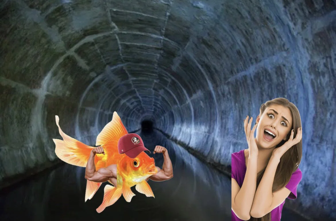 Dorm Room Pet Goldfish Didn’t Actually Die, Discovered To Have Mutated and Survived in the Tallahassee Sewer System