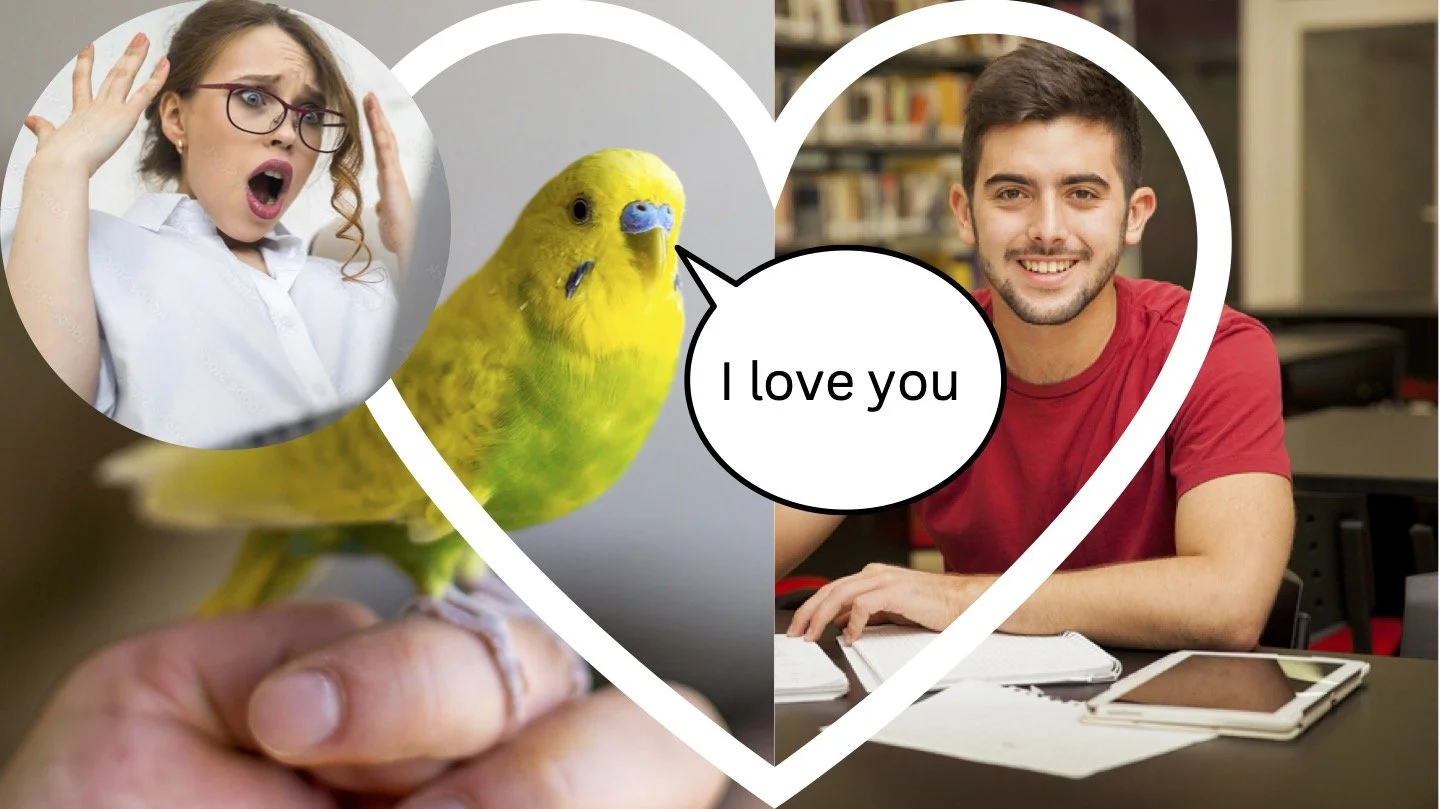 Local Student Finds a Feather-y Solution to FSU’s Housing Policy on Co-ed Living