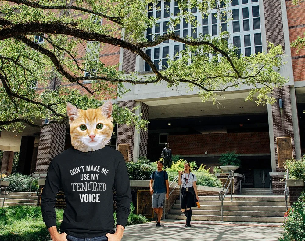 HCB Cat Receives Tenure