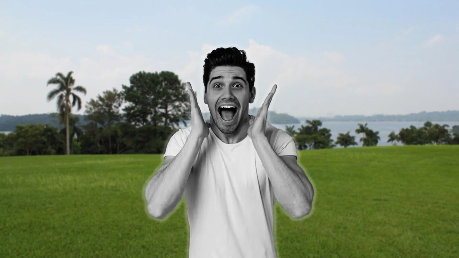 Golden Retriever Boyfriend Euthanized 