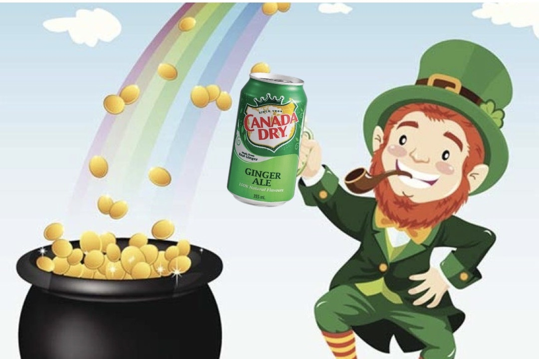 Op-Ed: We Let our Token Ginger Rate Ginger Ale Brands (The Results May Shock You)