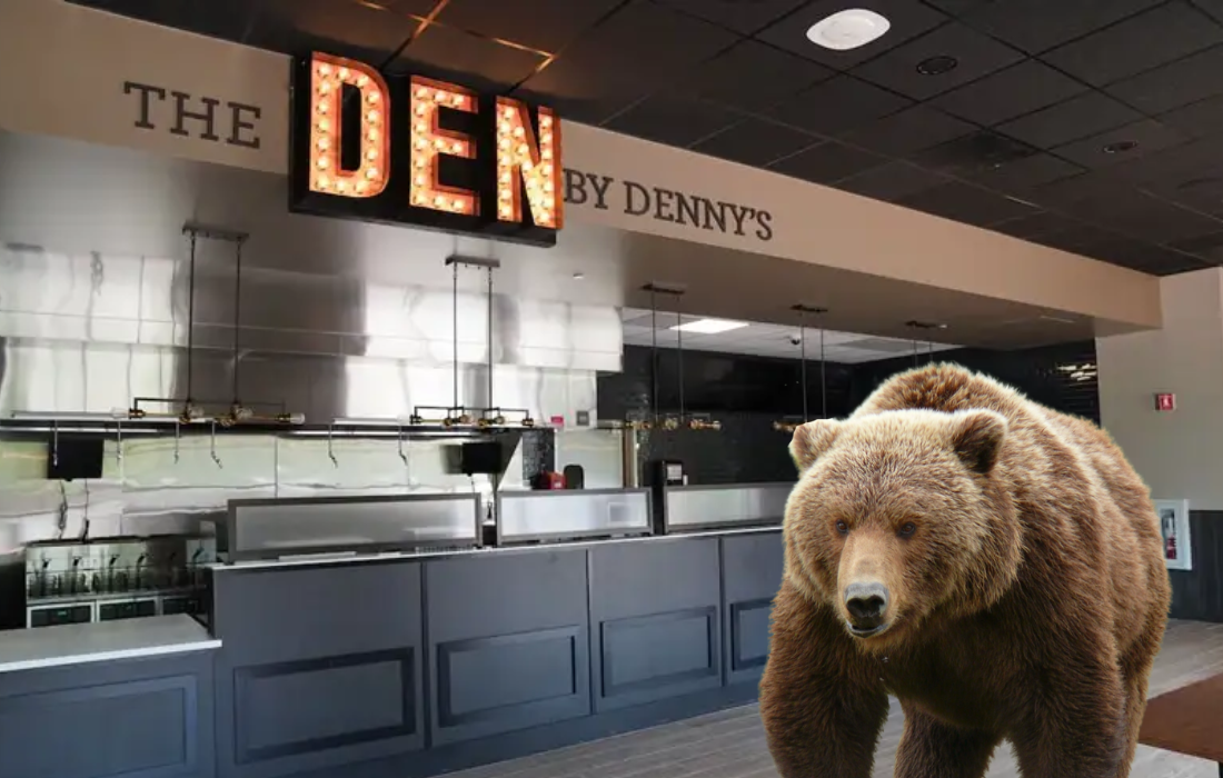 Confused Bear Found in ‘The Den’