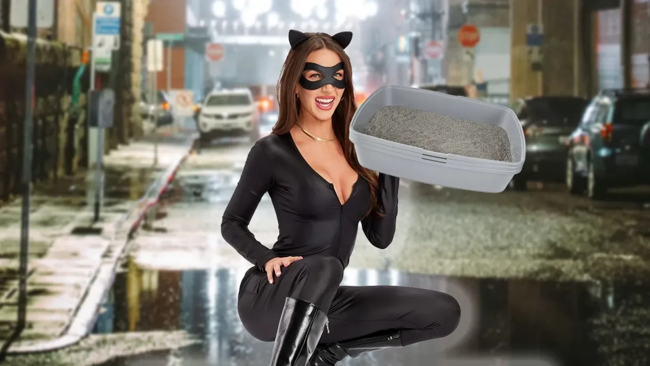 Sexy Cat Costume Comes With Sexy Litterbox