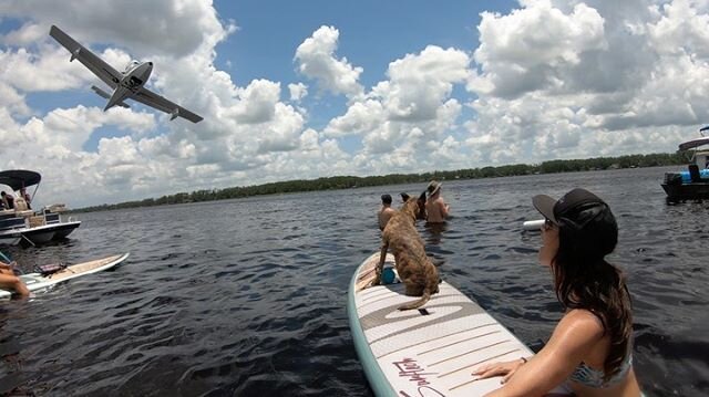 ✈️ S&kappa;&gamma; &Eta;iGh ✈️ Float Plane Paddle Party July 11, 2020: tickets include guided tour with or without SUP rental, BBQ lunch, 2 beverages, and air show! Book at link in bio 💦