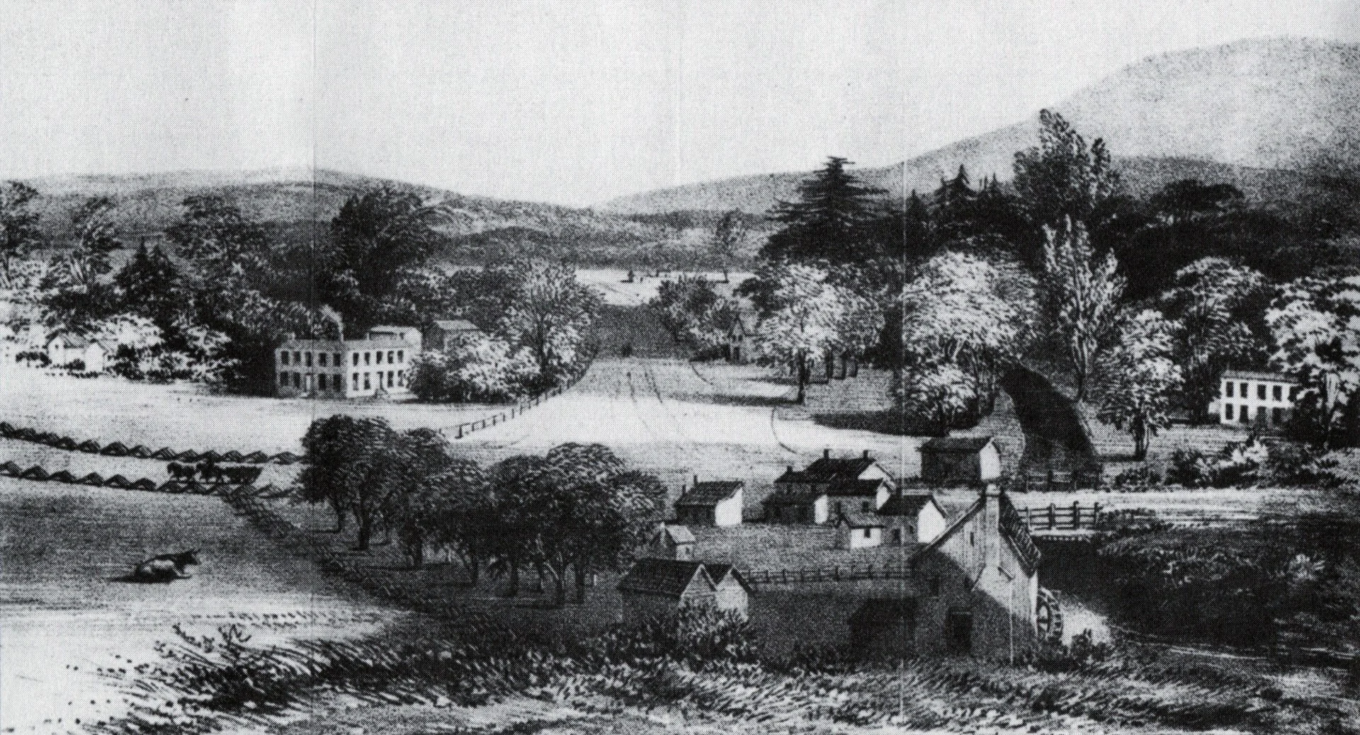 Courtesy of Map and Lithograph Collection, Special Collections, University of Tennessee, Knoxville—Libraries