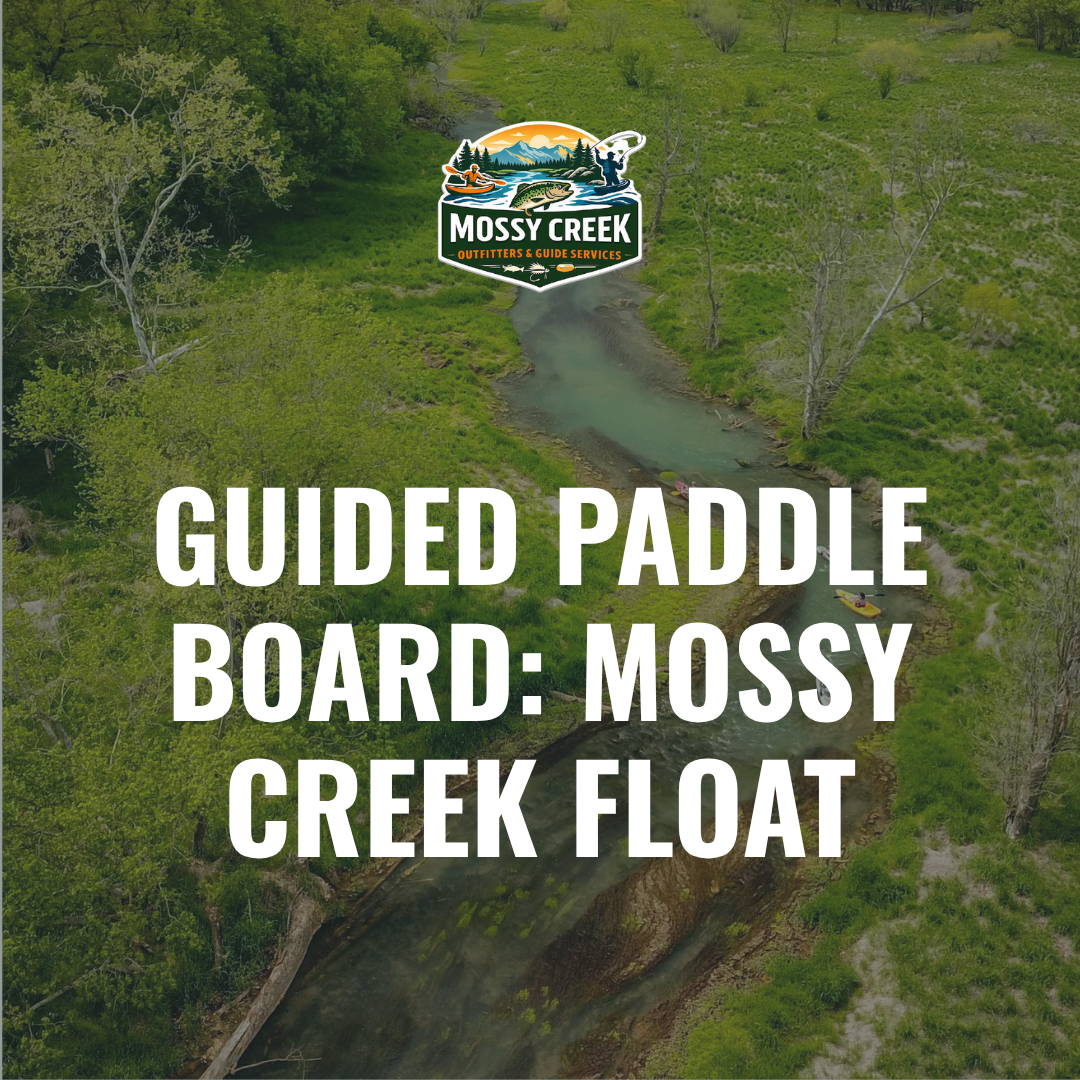 Guided Paddle Board: Mossy Creek Float
