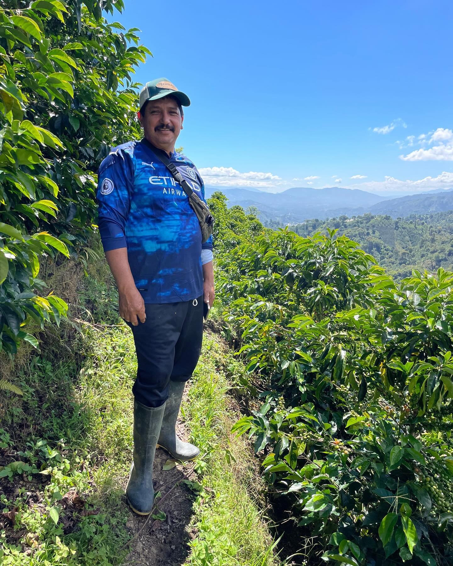 We&rsquo;ve been lucky to feature two of Ildefonso&rsquo;s variety separation - Pink Bourbon and Bourob Aji. 

Apparently Ildefonso is a bit of a seedling whiz - and the dedication from the start really shows in the green quality. These coffees are f