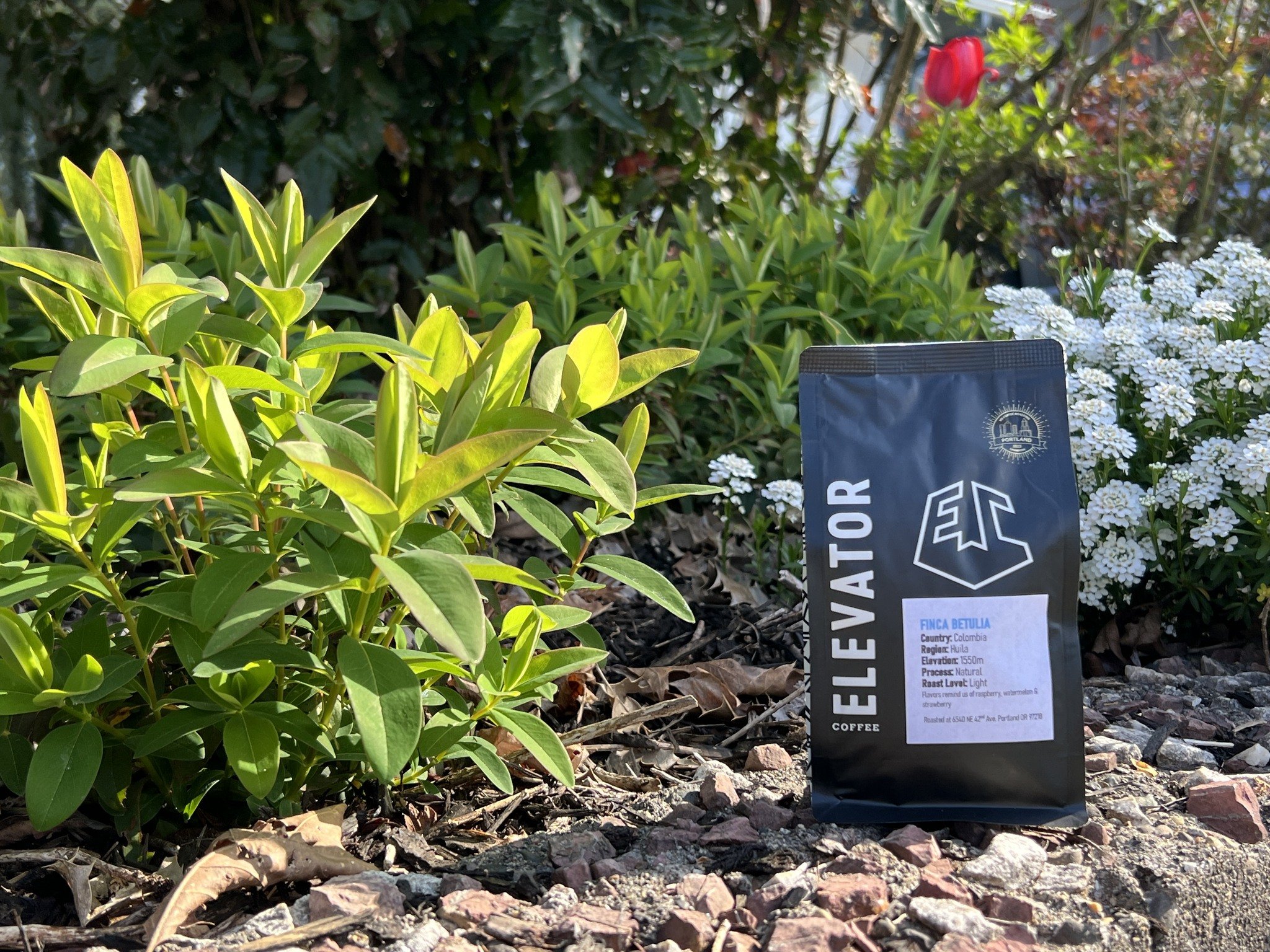 ATTN ELEVATOR FANS!

Our friends at @legacycoffeepdx are dealing with losing a lease, and the world needs more places like this, not less.  We have collaborated with them to offer this very special stunner of a coffee, as a Legacy Coffee Exclusive.  