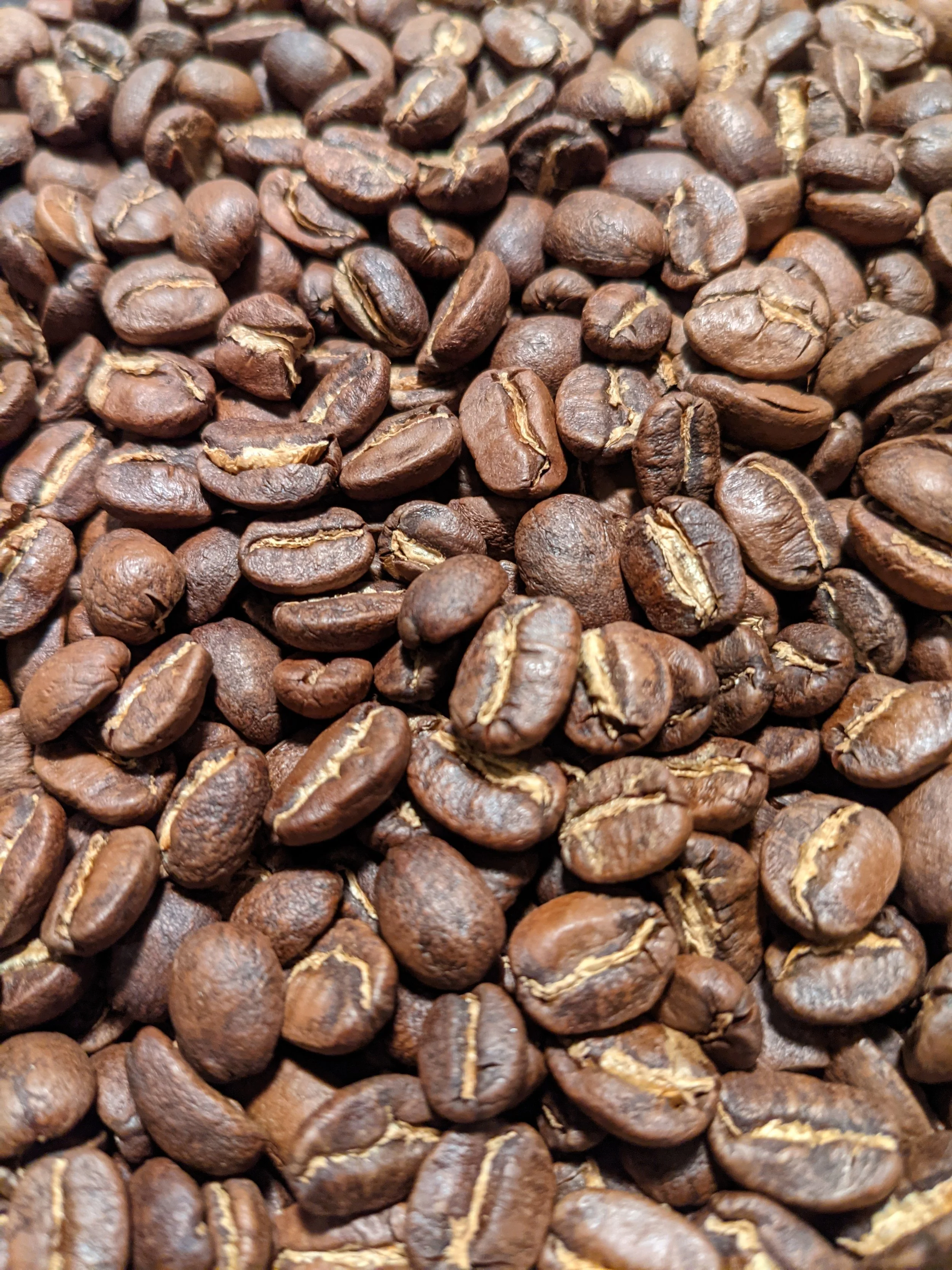 2026 State of Coffee