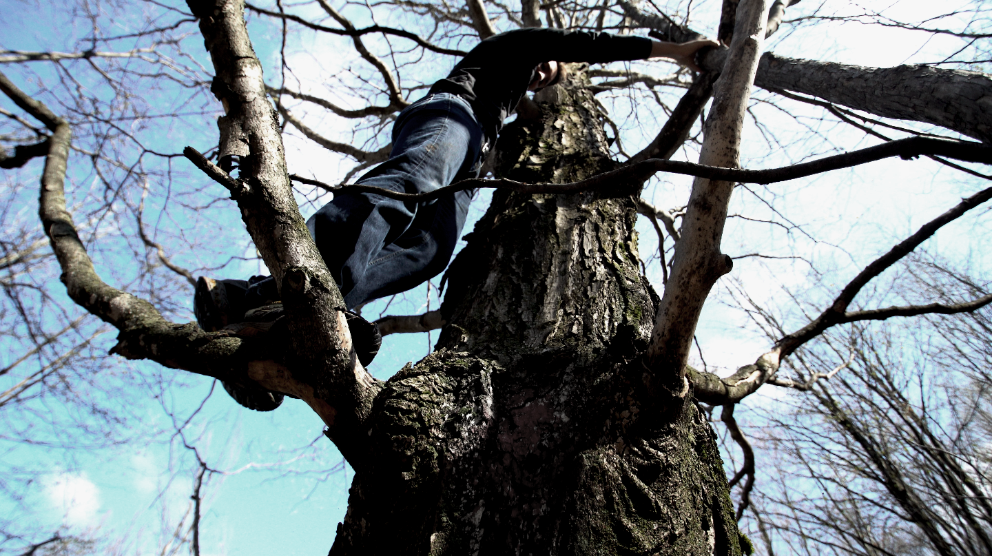 mike-in-tree.png