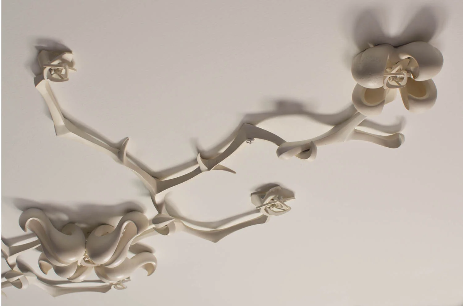 detail copy.jpg