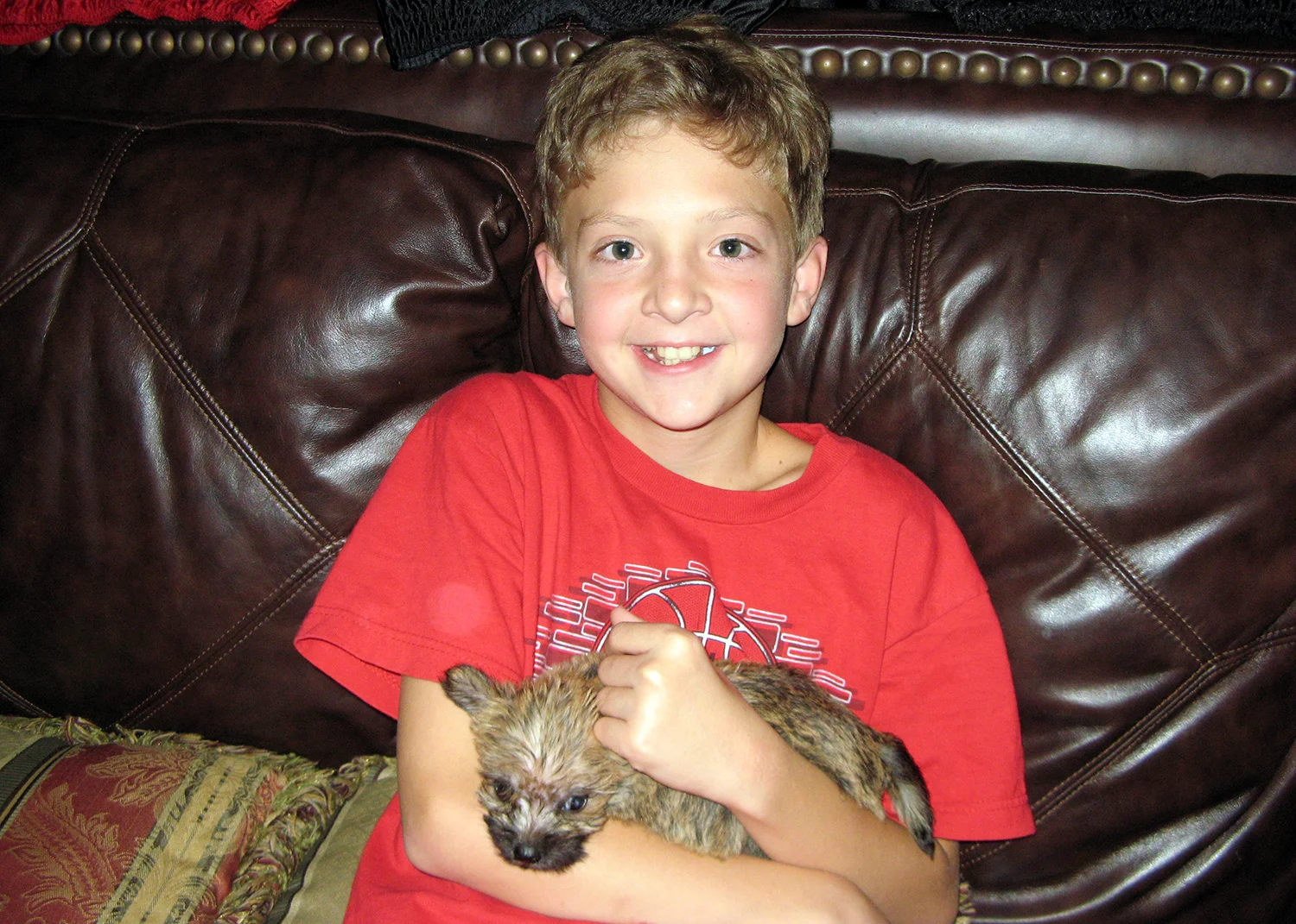 clark-blaze-puppy.jpg
