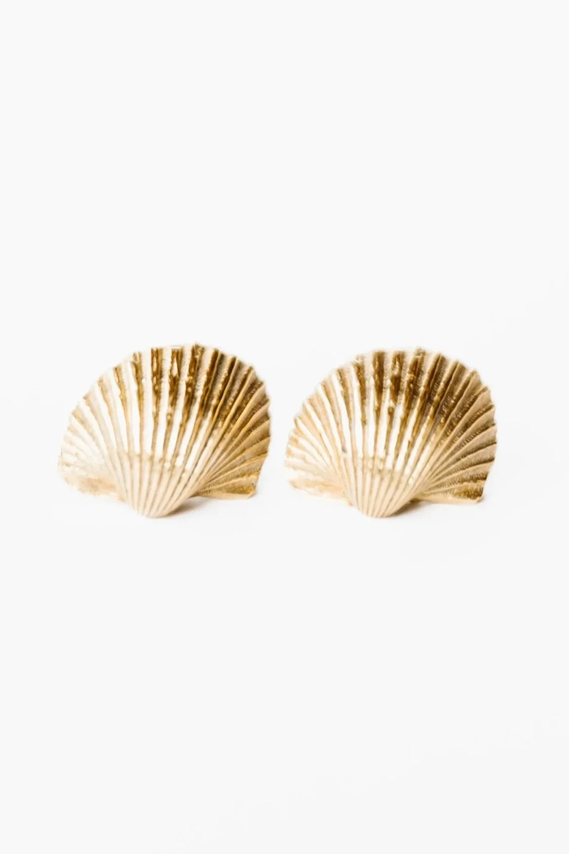 Shell Earrings