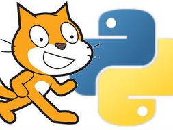 Scratch python sale