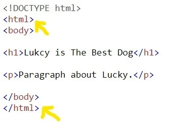 HTML for Beginners | Coder Kids