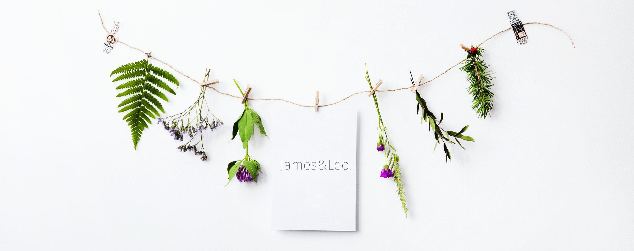james and leo web banner.png