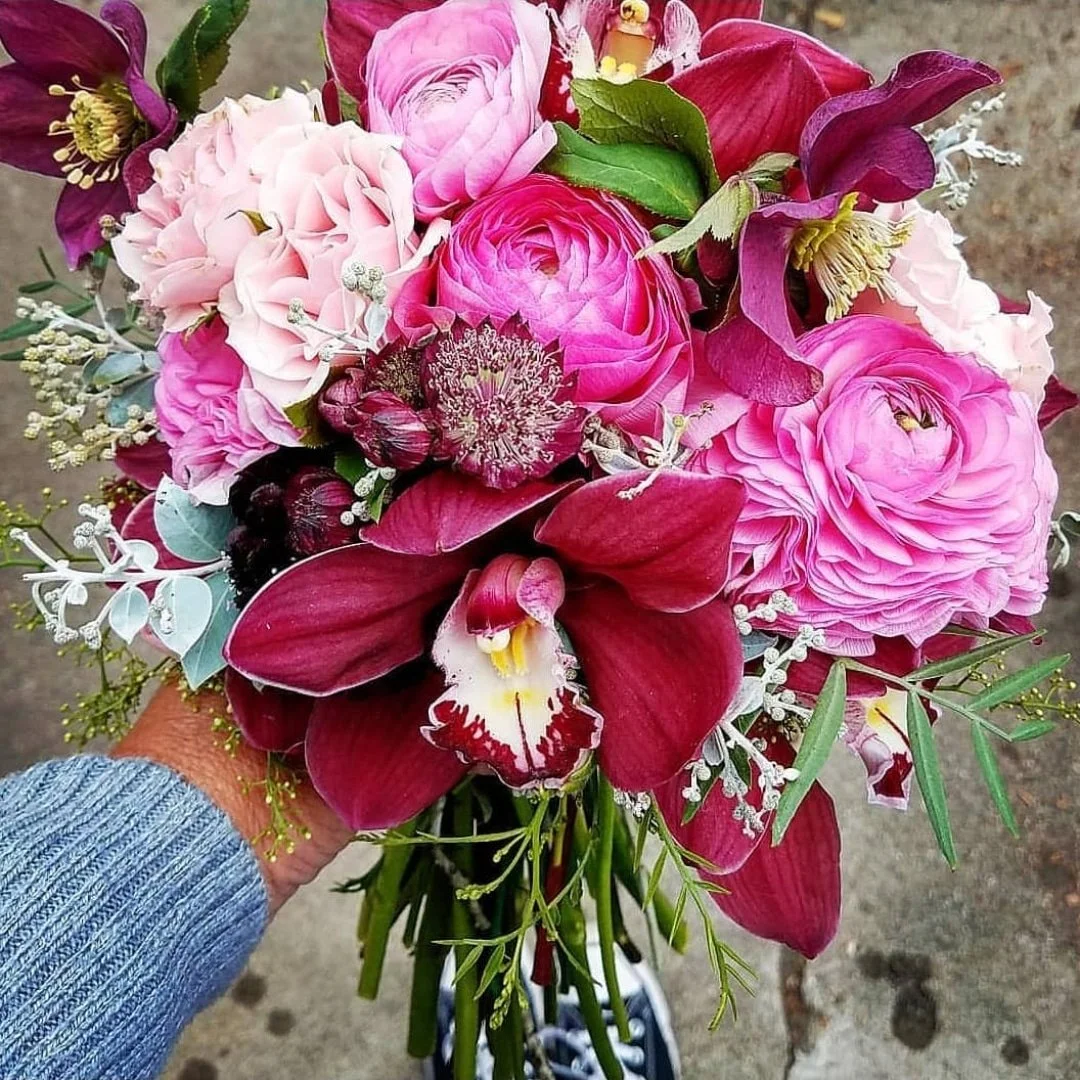 IMG_20240503_192712_327 Cynthia Chamberlin.jpg