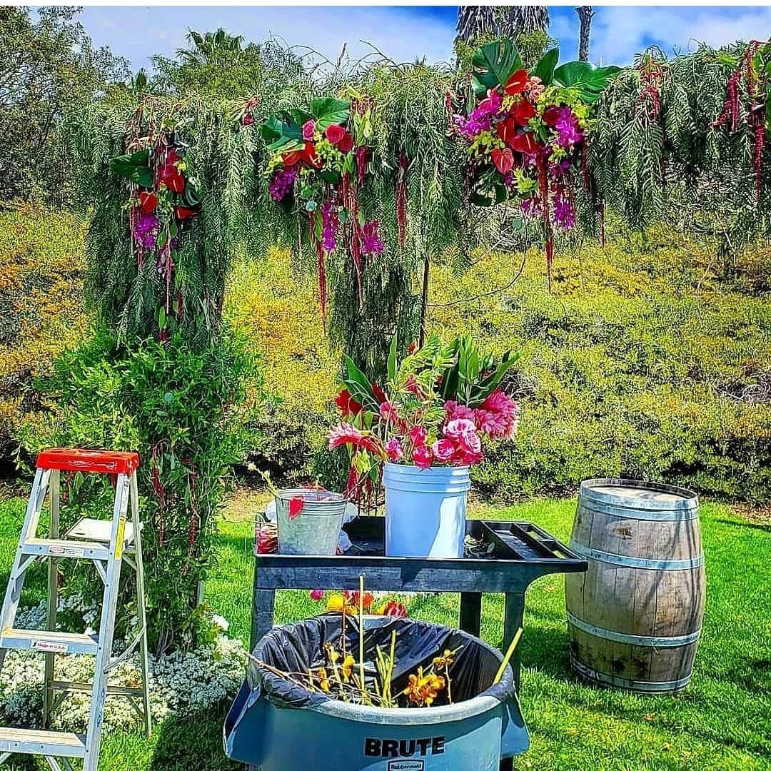 IMG_20240503_192934_778 Cynthia Chamberlin.jpg