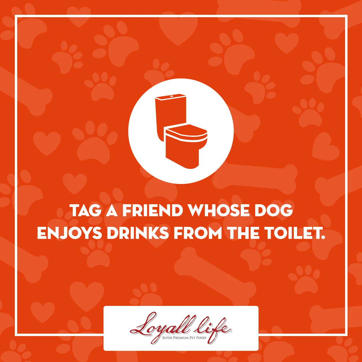 Tag a Friend - Drinks from the toilet.jpg
