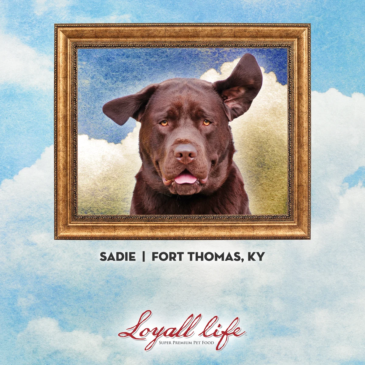 sadie.jpg