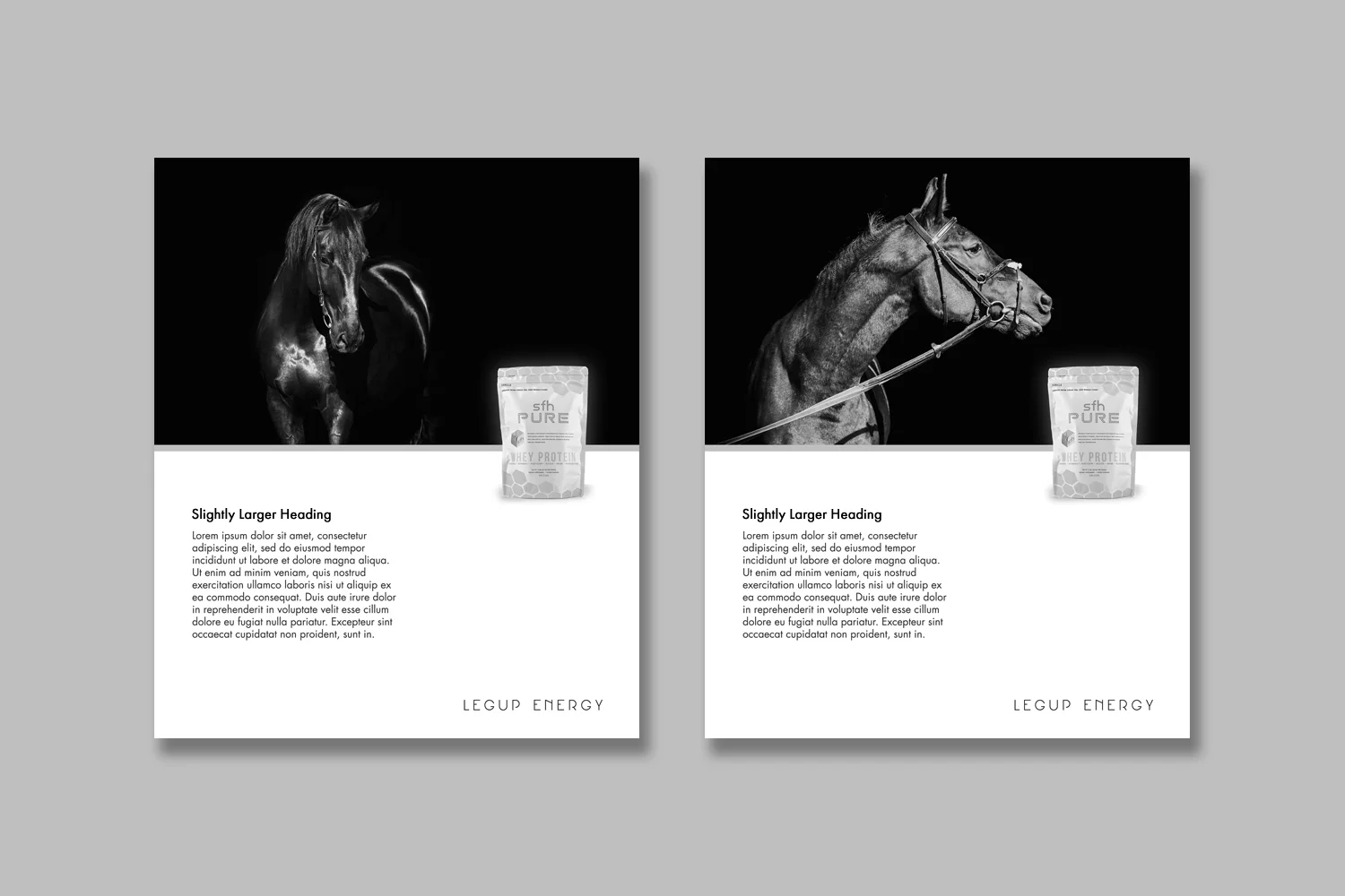 Please note : this branding example uses placeholder "Lorem Ipsum" text, as well as a generic nutrition bag.