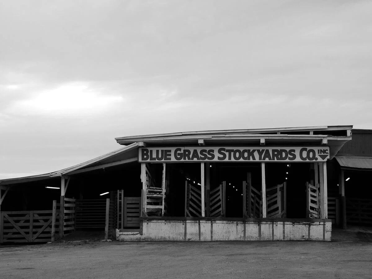 An early photograph of the original Blue Grass Stockyards in Lexington, KY.
