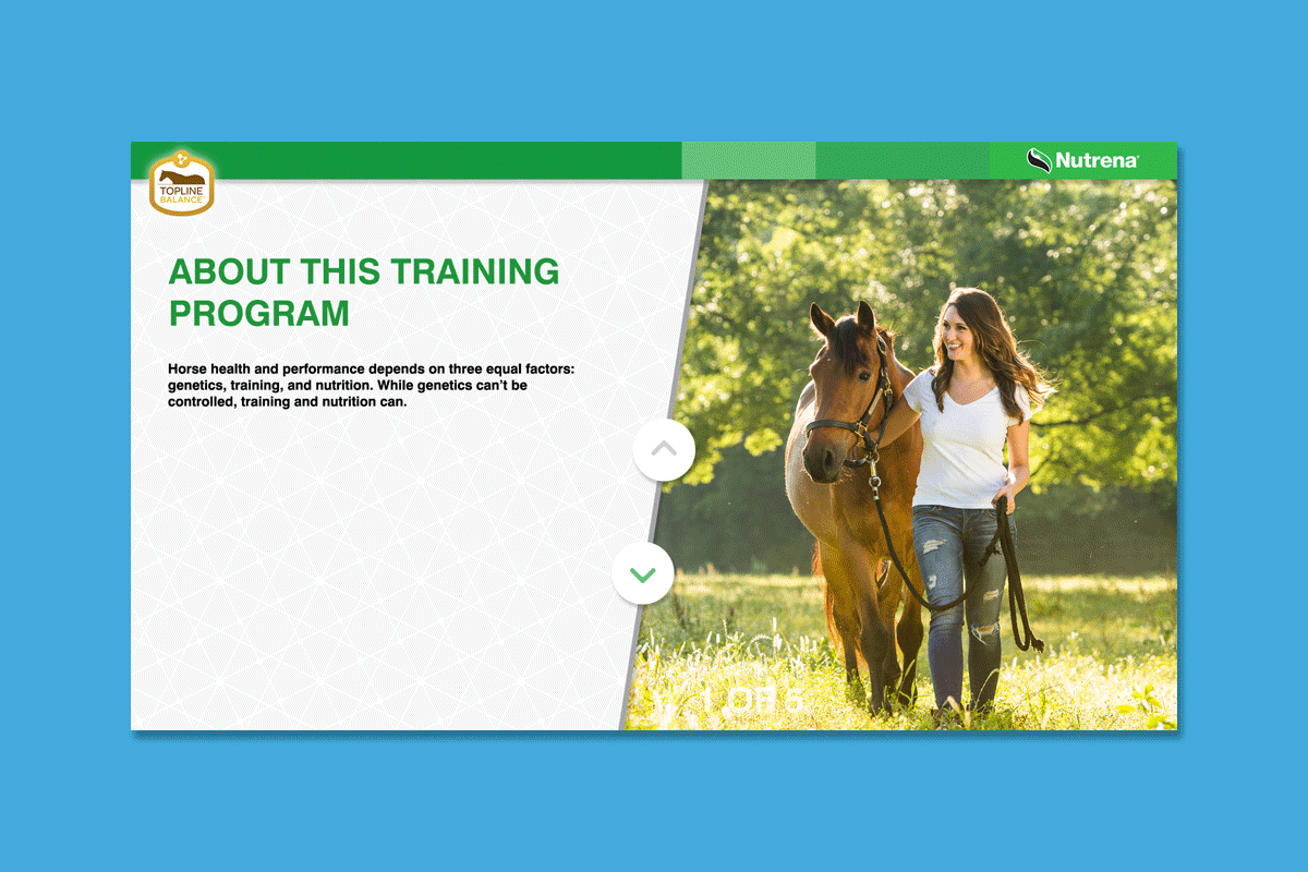 Client : Nutrena® Horse Feed Project : Touchscreen animated training presentation Details : About This Training