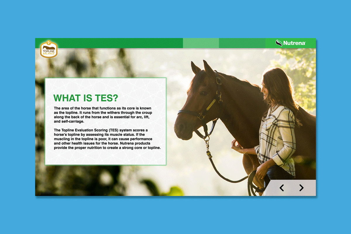 Client : Nutrena® Horse Feed Project : Touchscreen animated training presentation Details : Evaluating TES