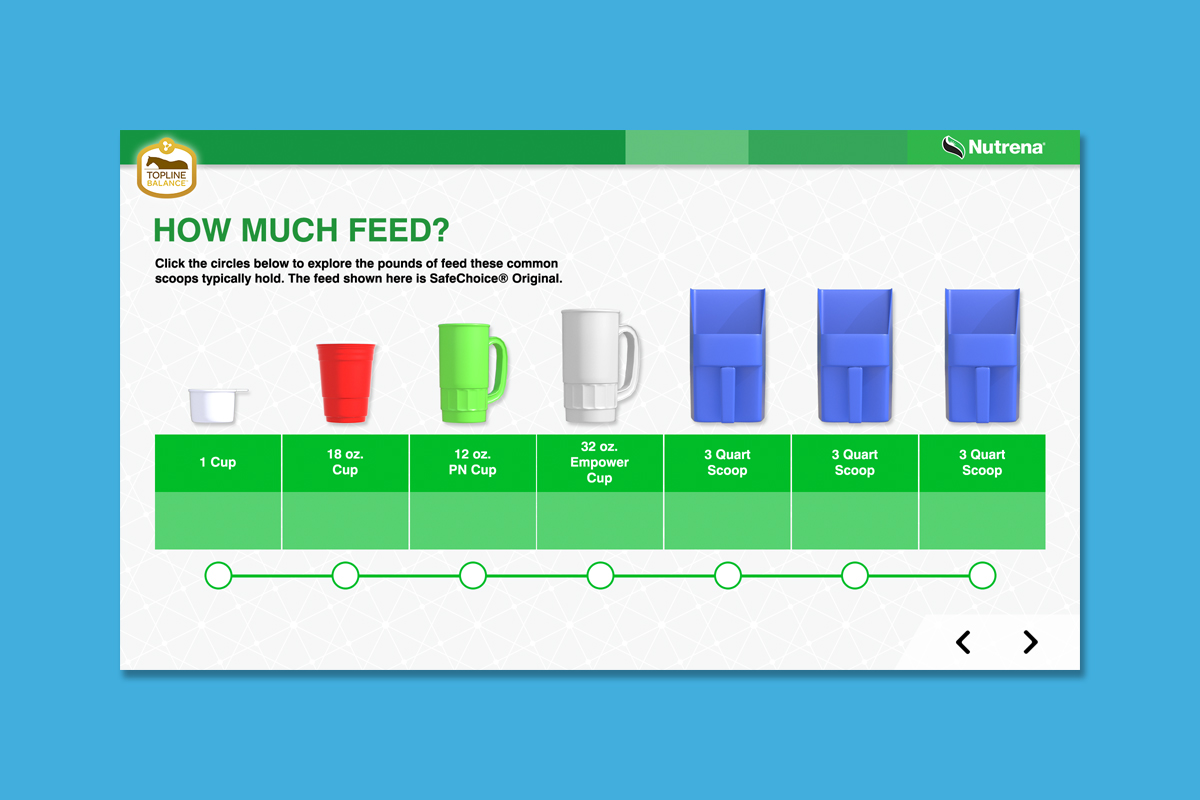 Client : Nutrena® Horse Feed Project : Touchscreen animated training presentation Details : Calculating Weight in Horse Diet
