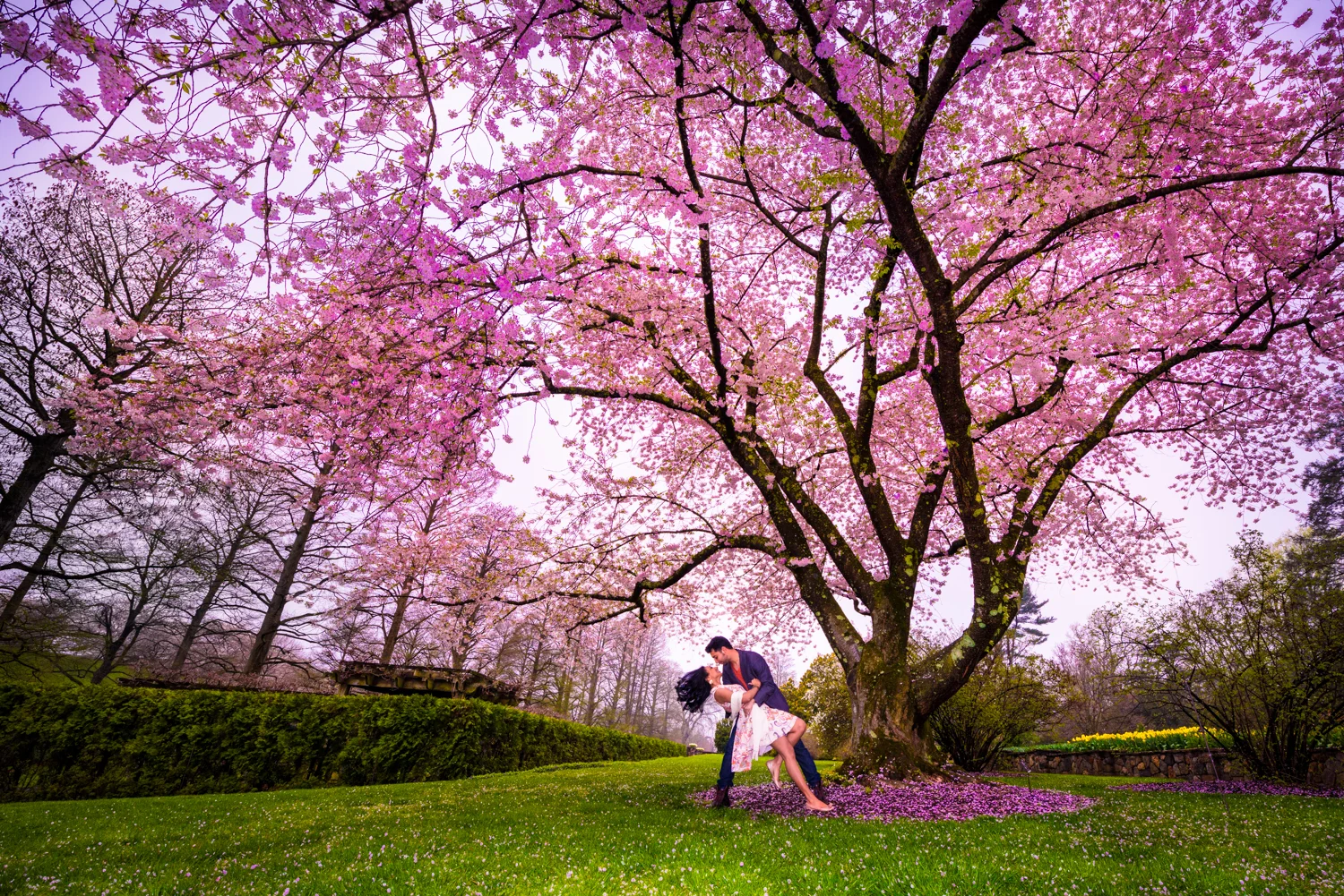 Roshan & Tina Engagement Shoot, Longwood Gardens PA